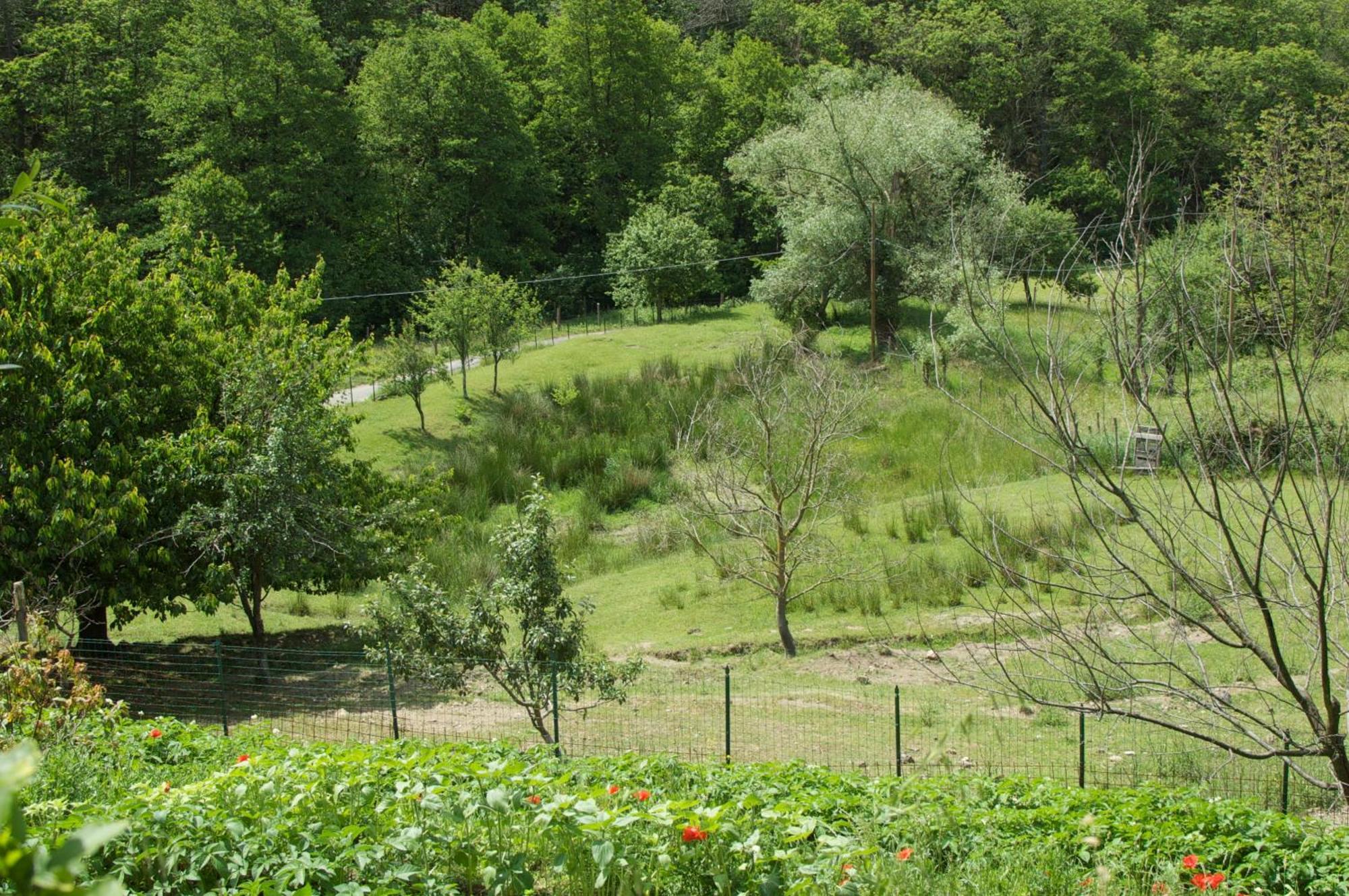 Affittacamere Graziella Βερνάτσα Εξωτερικό φωτογραφία