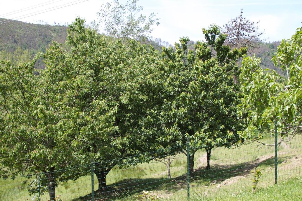 Affittacamere Graziella Βερνάτσα Εξωτερικό φωτογραφία