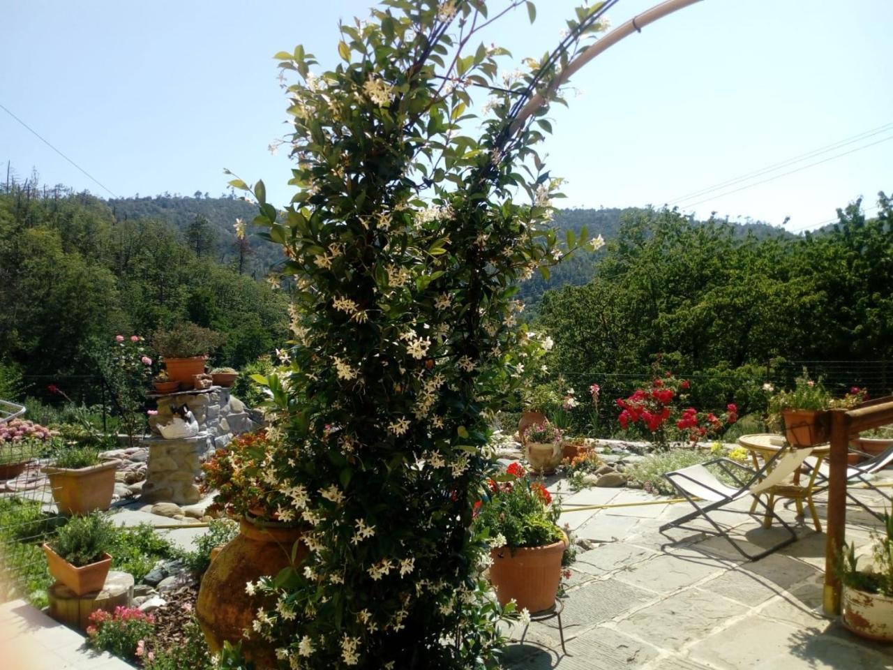 Affittacamere Graziella Βερνάτσα Εξωτερικό φωτογραφία